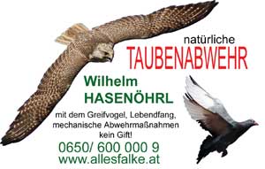 Visitenkarte Taubenabwehr
